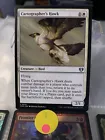 Cartographer's Hawk #
