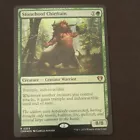 Stonehoof Chieftain #