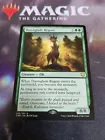 Dawnglade Regent