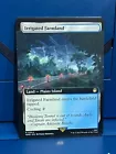 Irrigated Farmland [Extended Art] #