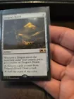 Dragon's Hoard