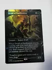 Druid Class