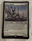 Horizon Scholar