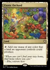Exotic Orchard #