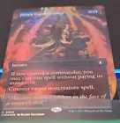 Fierce Guardianship [Borderless Foil] #