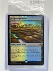 Irrigated Farmland