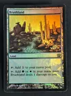 Brushland