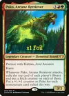 Arcane Signet [Foil] #