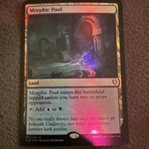 Morphic Pool #