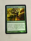 Ordeal of Nylea