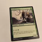Fyndhorn Elves