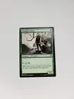 Fyndhorn Elves