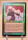 Thorn Elemental