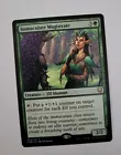Immaculate Magistrate