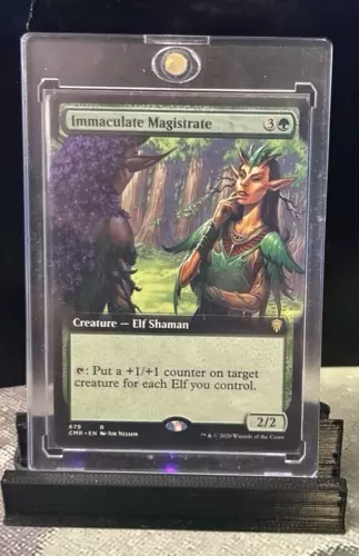 Immaculate Magistrate