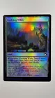Evolving Wilds