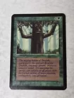 Ironroot Treefolk