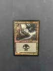 Swamp