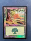 Forest [Foil] #