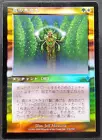 Vivid Grove