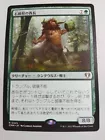Stonehoof Chieftain #