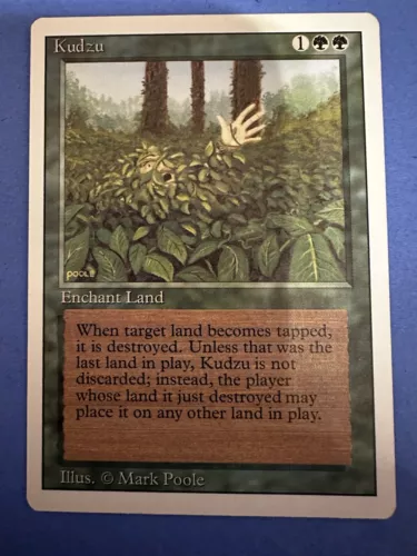 Kudzu