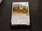 Leonin Warleader