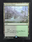 Llanowar Wastes