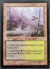 Llanowar Wastes #
