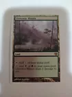 Llanowar Wastes