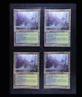Llanowar Wastes