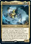 Maelstrom Wanderer #