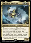 Maelstrom Wanderer #