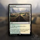Brushland #
