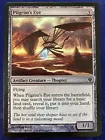Pilgrim's Eye