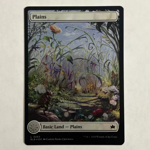 Plains