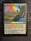 Evolving Wilds
