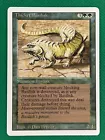 Thicket Basilisk