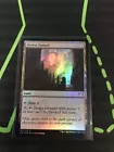 Lay of the Land