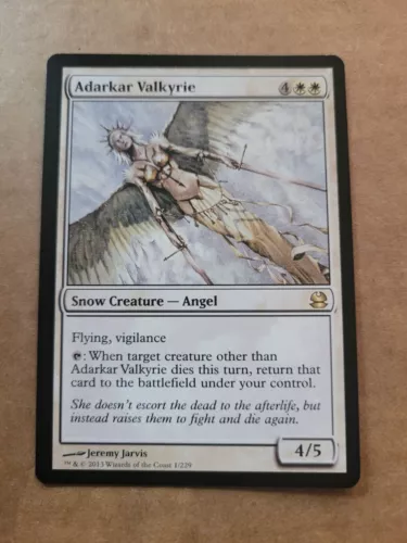 Adarkar Valkyrie