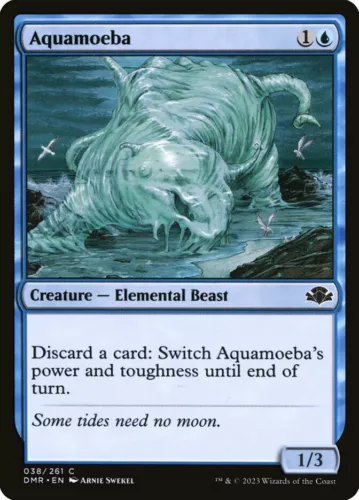 Aquamoeba #