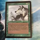 Aspect of Wolf