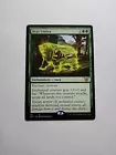 Runeclaw Bear