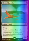 Birds of Paradise #