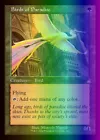 Birds of Paradise