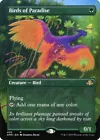 Birds of Paradise [Borderless] #