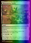 Blossoming Sands