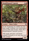 Brambleguard Captain #