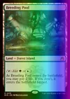 Morphic Pool