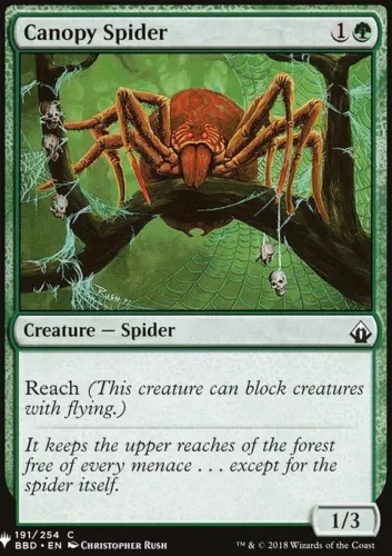 Canopy Spider